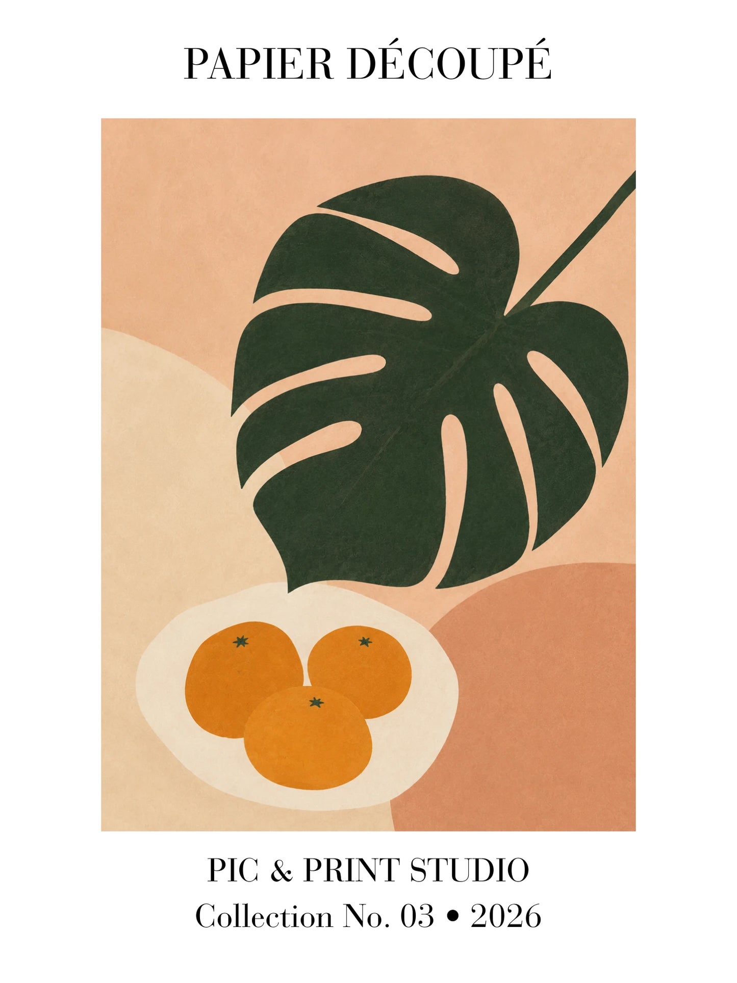 Citrus Harmony