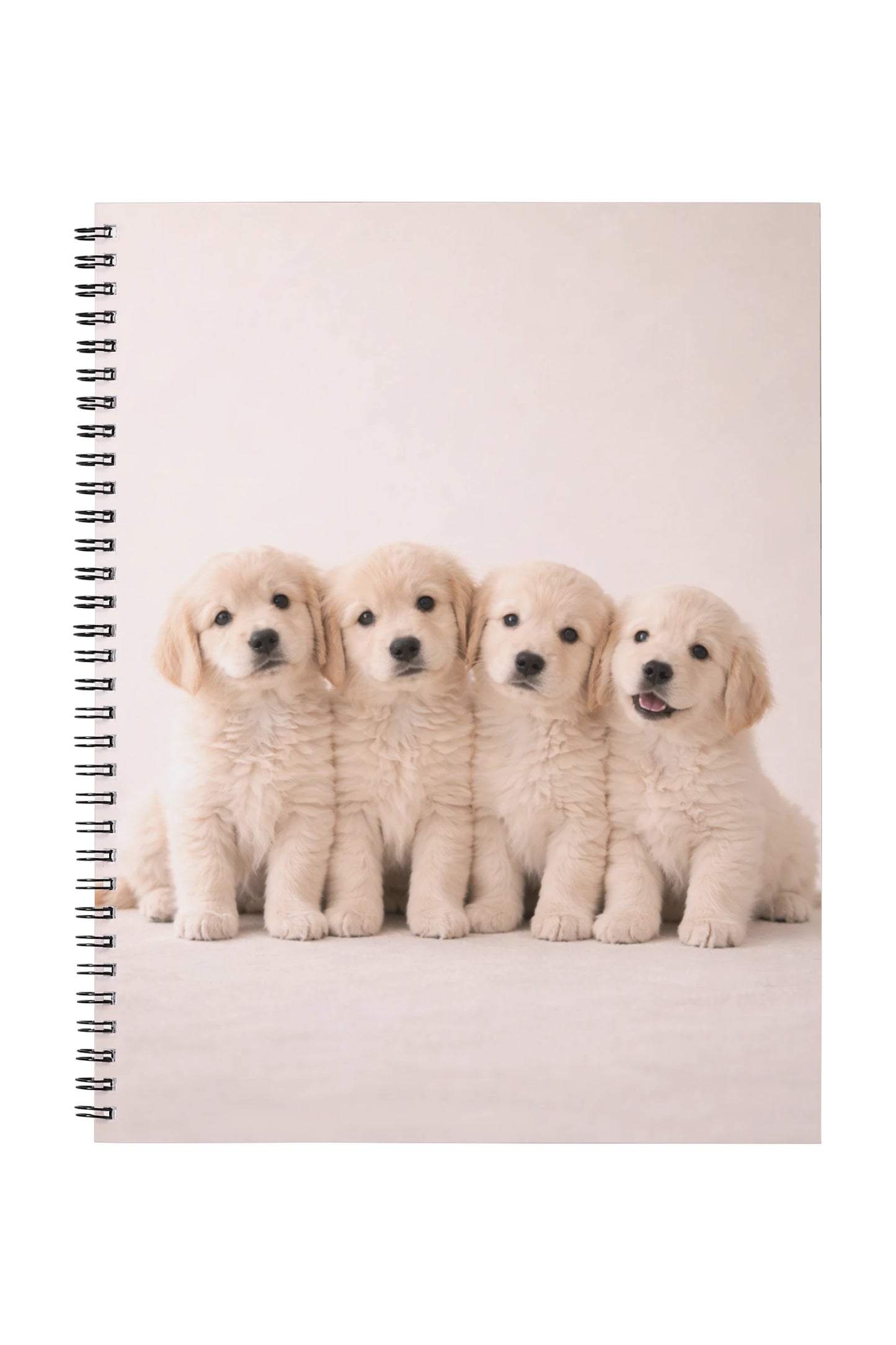 Kollegieblock med fyra golden retriever-valpar i mjuka beige toner och varm, lekfull känsla.