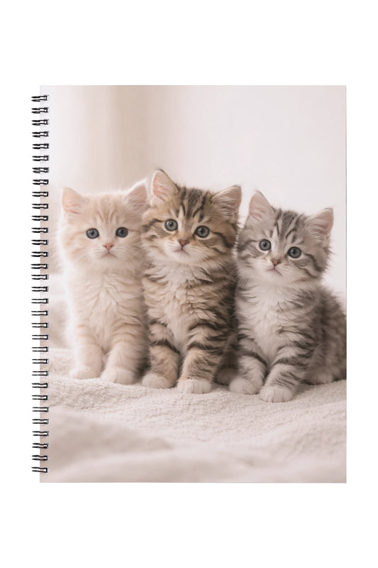Little Fluffy Kittens
