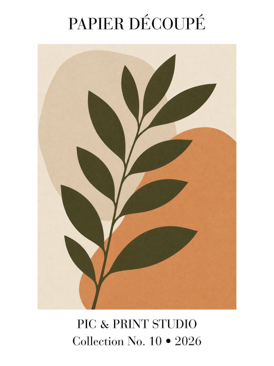 Olive Branch