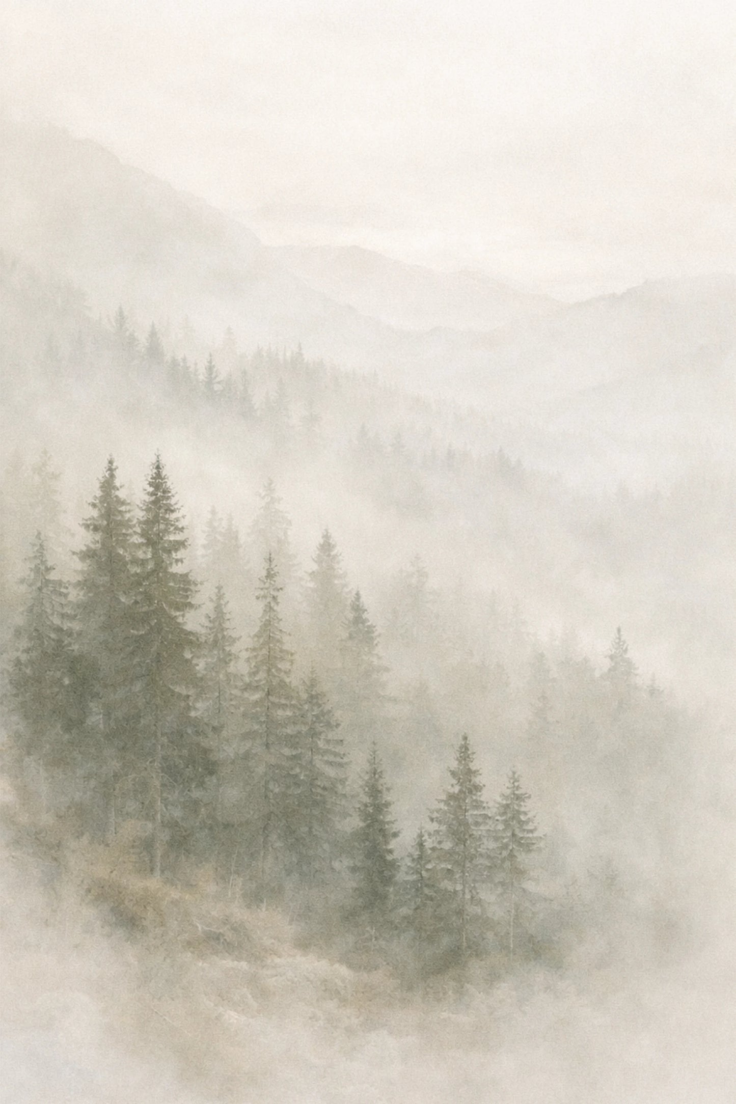 Pine Forest Poster