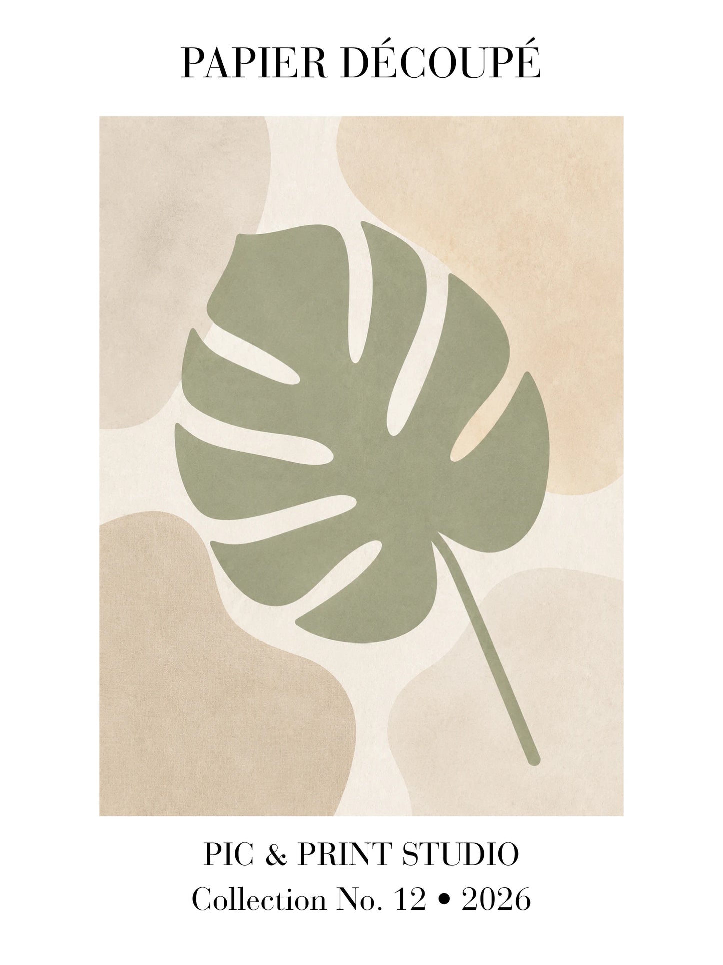 Sage Monstera
