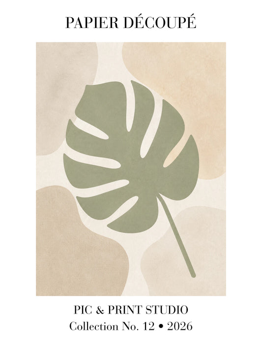 Sage Monstera