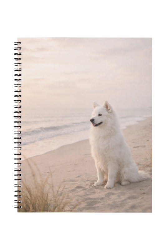 Serene Beach Samoyed