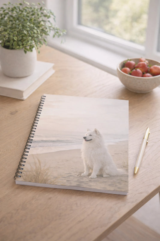 Serene Beach Samoyed